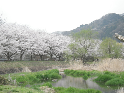 古賀志山