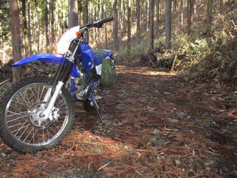 YAMAHA TTR125LWE