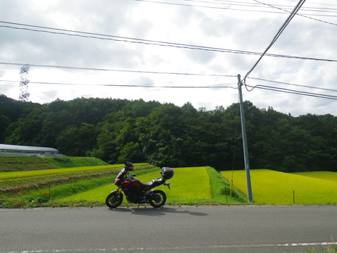 YAMAHA MT-09 TRACER