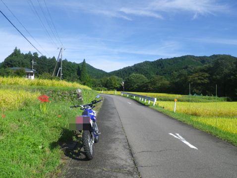 YAMAHA TTR125LWE