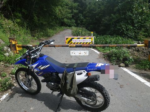 YAMAHA TTR125LWE