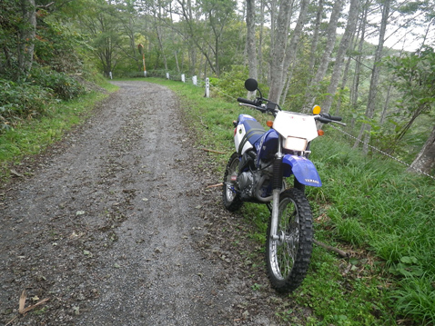 YAMAHA TTR125LWE