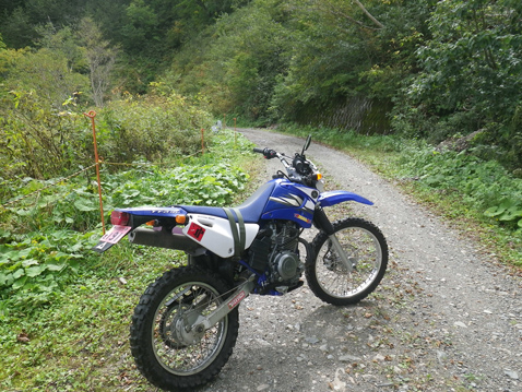 YAMAHA TTR125LWE