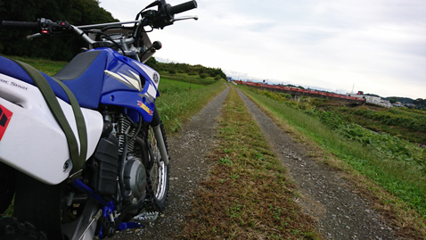 YAMAHA TTR125LWE