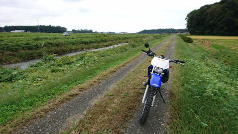 YAMAHA TTR125LWE