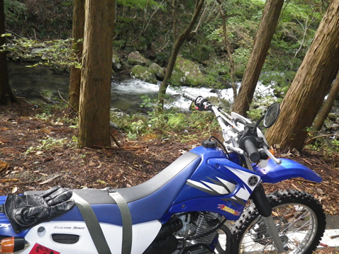 YAMAHA TTR125LWE