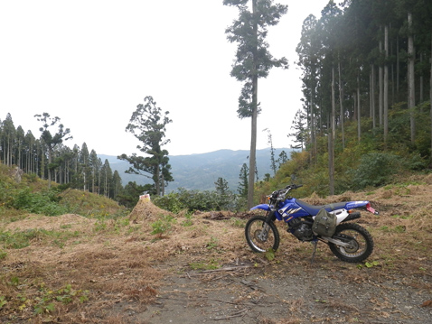 YAMAHA TTR125LWE