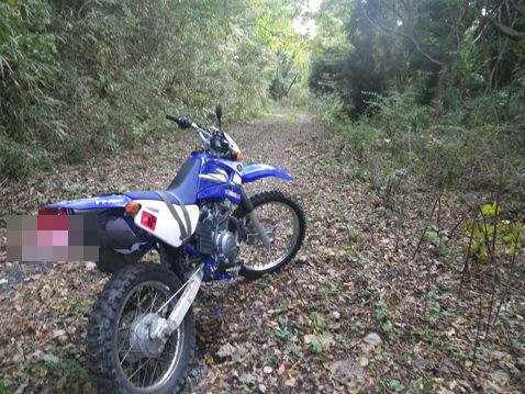 YAMAHA TTR125LWE