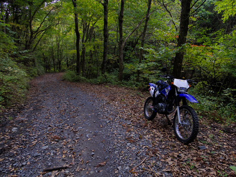 YAMAHA TTR125LWE