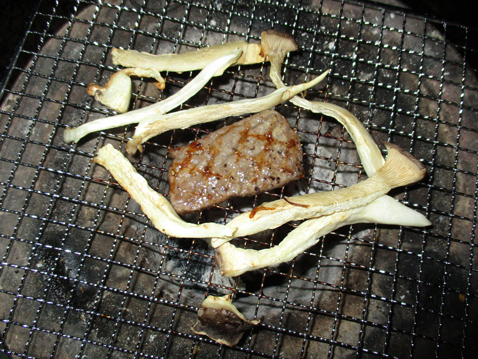 ハイエーストランポ