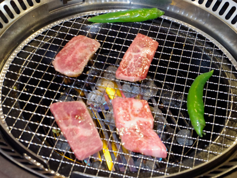 房総 春