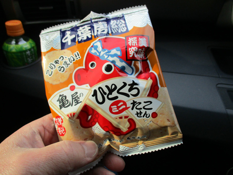 房総 春