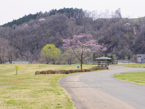 みちのく公園 風の草原