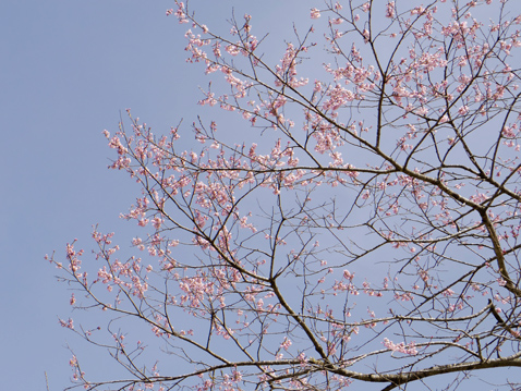みちのく公園 風の草原