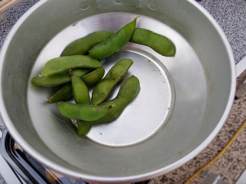 エコキャンプ みちのく