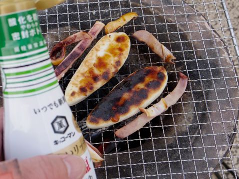 エコキャンプ みちのく
