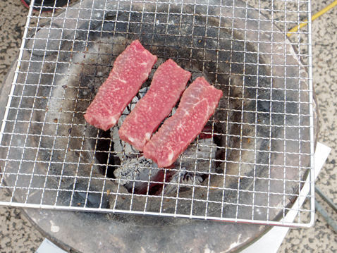エコキャンプ みちのく