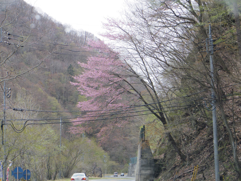金精峠