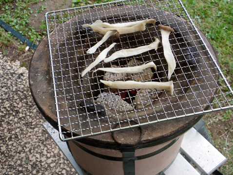 エコキャンプみちのく
