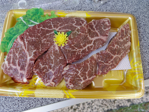エコキャンプみちのく