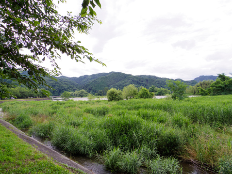 前橋 鳥めし