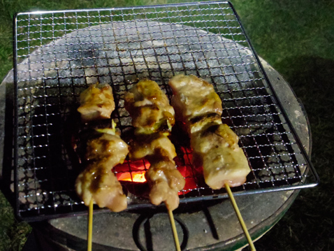 柴犬 零 静