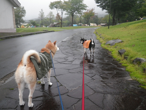 庄内おばこの里 こまぎ