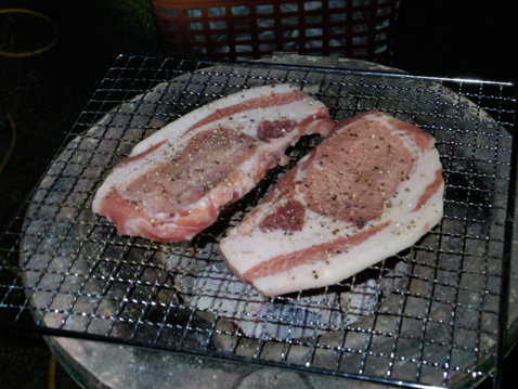 柴犬 零 静
