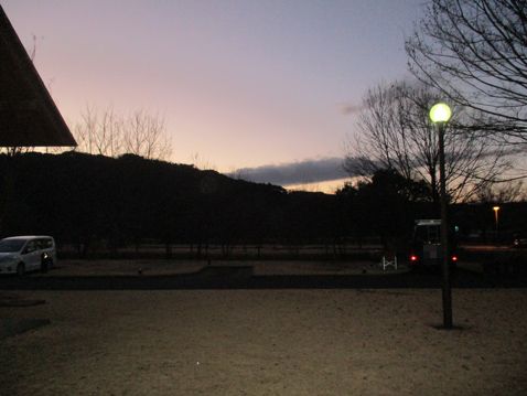 出会いの森