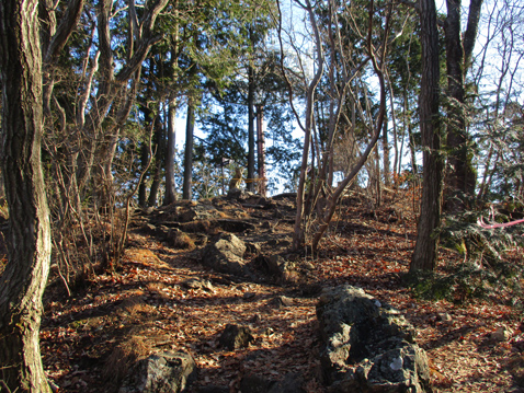 古賀志山