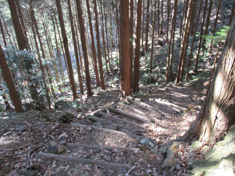 古賀志山