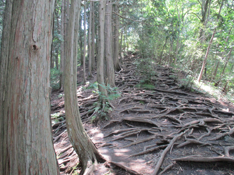 古賀志山