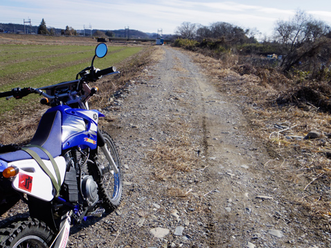 YAMAHA TTR125LWE