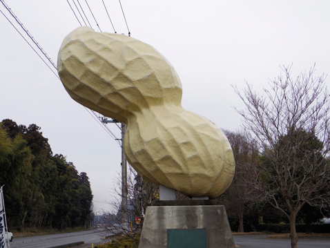 茨城 落花生