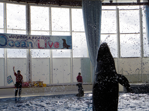 大洗水族館