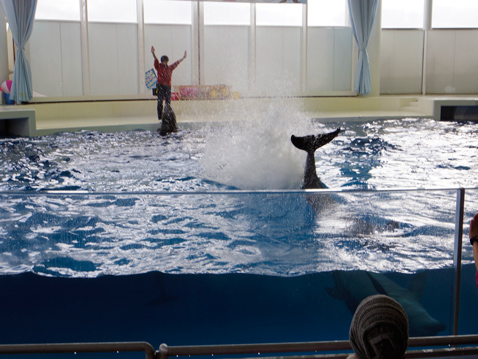 大洗水族館