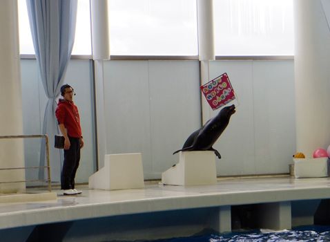 大洗水族館