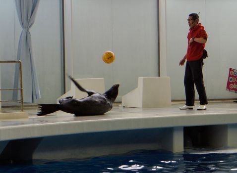 大洗水族館