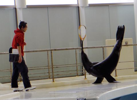 大洗水族館