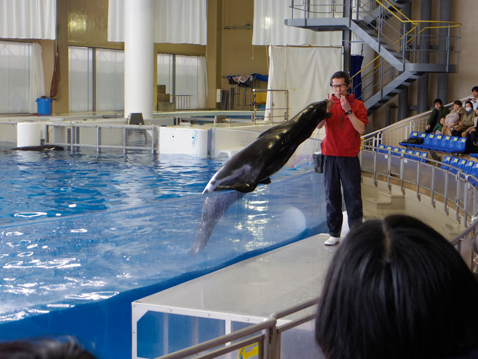 大洗水族館
