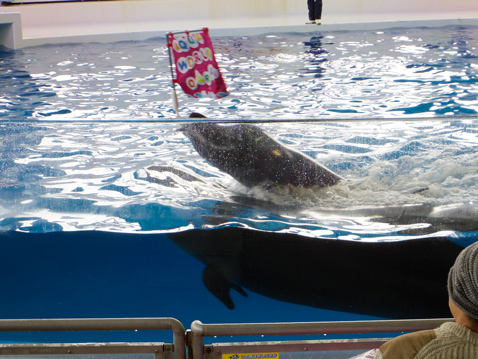 大洗水族館
