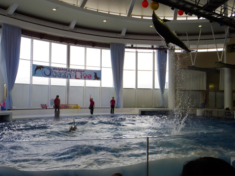 大洗水族館
