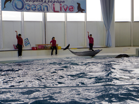 大洗水族館
