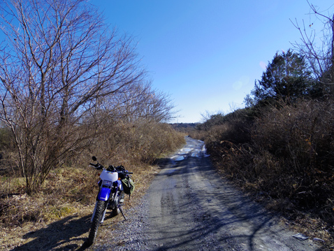 YAMAHA TTR125LWE