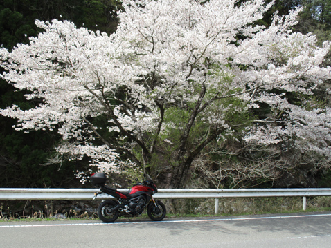 YAMAHA MT09 TRACER