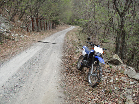 YAMAHA TTR125LWE