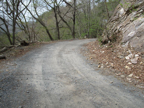 栗原川林道