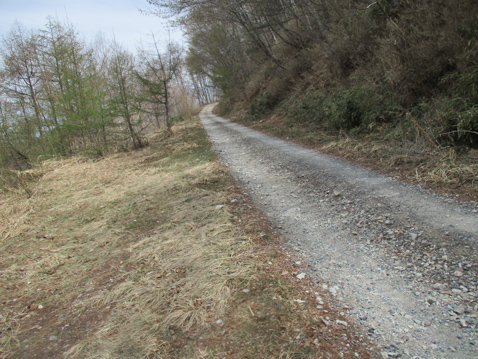 栗原川林道