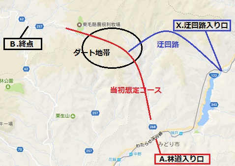 小中新地林道