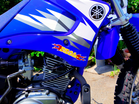 YAMAHA TTR125LWE